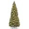 10ft. Pre-Lit Carolina Pine Artificial Christmas Tree, Clear Lights
